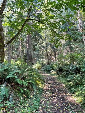 Lot's of great hikes.  This is HIke C, we took a Forest Bath walking through this trail.  Forest Bath, it's a thing, look it up!