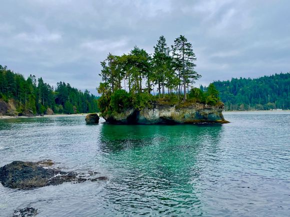 We named this Bonsai Island. 