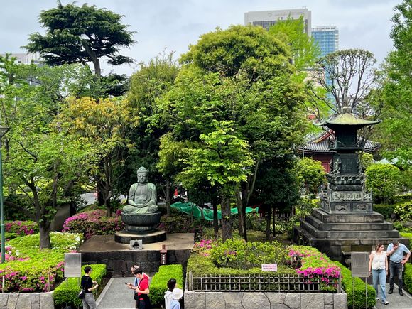 Beautiful Douen Garden.