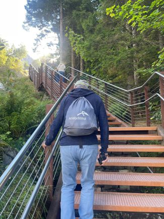 A lot of steps going up