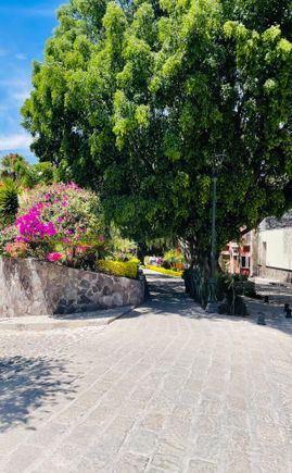 Walking near the Rosewood Hotel. 