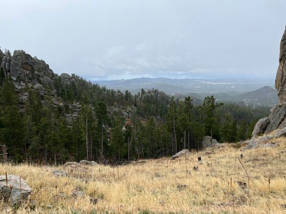 A Custer State Park scenic view spot. The IPhone camera does not do it justice.