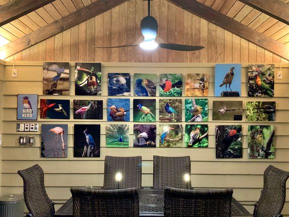 4 years ago I had great difficulty narrowing down my choices, and now there are other photos I would probably substitute for some of these. And maybe I will!