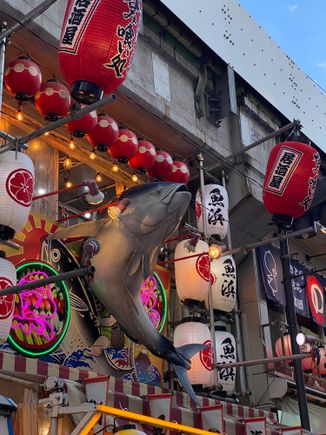 Approaching the bustling shopping street, Ameyoko