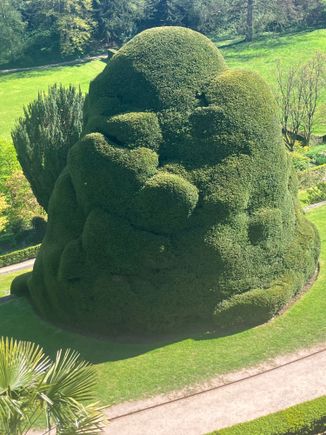 Powis - crazy overgrown topiary!