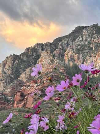 One more at sunrise today