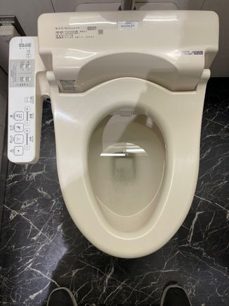 My first experience with a Japanese toilet.  Didn't know whether to sit on it or try to fly it.