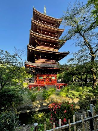 Another pagoda shot