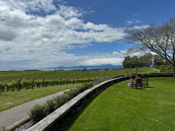 A beautiful vineyard