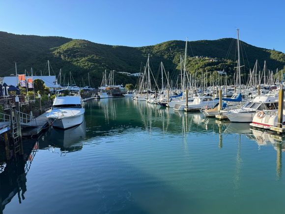 The Waikawa Marina - near our motel in Waikawa