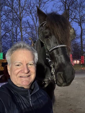 Beautiful horse!!! The photobomber not so much.....