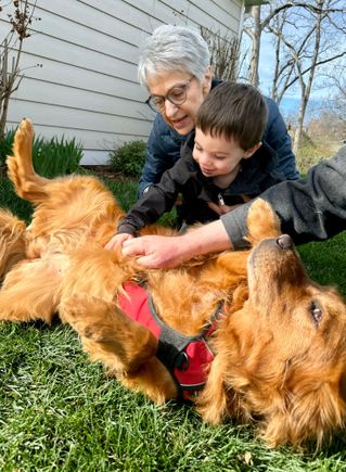 Our next-door neighbor’s golden, Gracie.