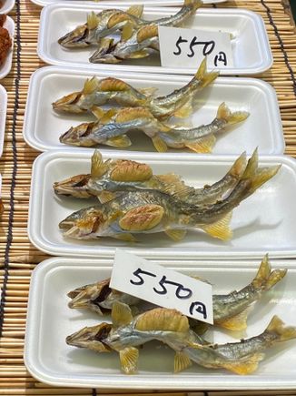 Nishiki market 
