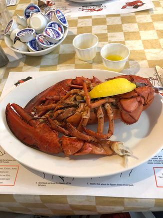 My husband's 1.5 pound lobstah!
