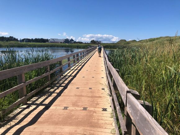 Lovely Dunelands Trail but we much preferred Greenwich Dunes.
