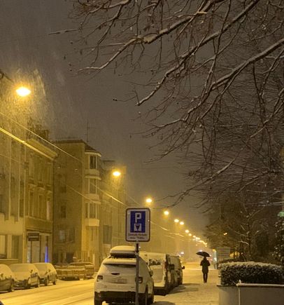 
We were in Paris when Basel got more than 20 cm of snow last month (all gone now). Our snowfall usually looks more like this…