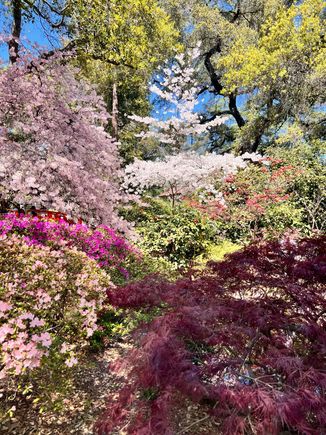 Descanso Garden - Japanese Garden