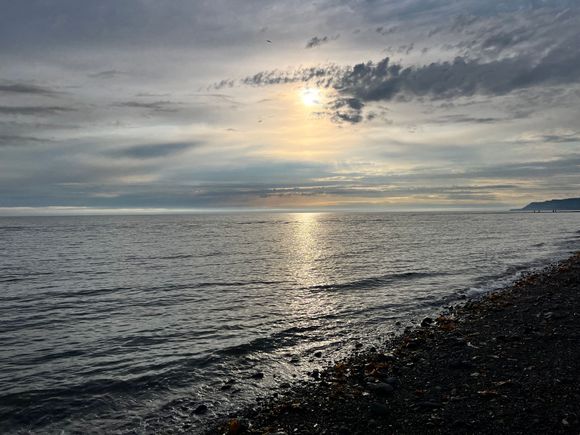 Beach along Homer Spit
