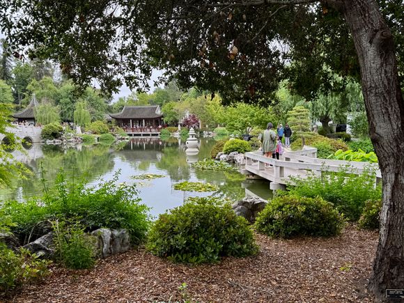 Huntington Gardens- stunning.