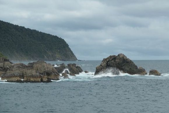 To the Tasman Sea