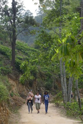Walking to Little Adam's Peak