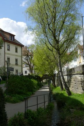 The path