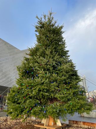 Shipyard Christmas tree
