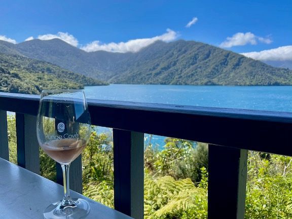 Refreshments at Punga Cove while waiting for the water taxi