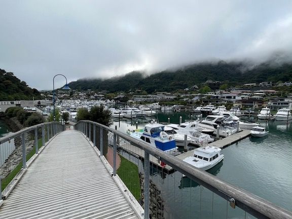 It was cloudy when we arrived in Picton for our 1.5 hour cruise out the sound.