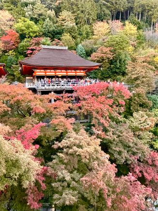 And looking back from the wooden stage of the main hall