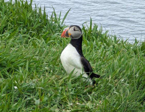 At times, we were no more than three or four feet away from the little guys