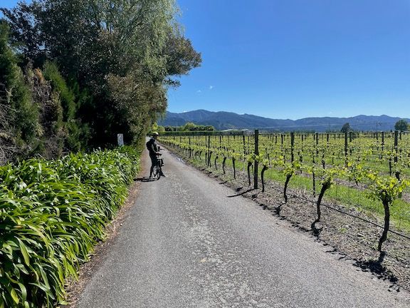 Off on the bikes - there are some great bike-only trails that will get you close to various wineries