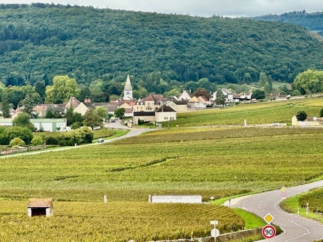 On our way to a very small winery