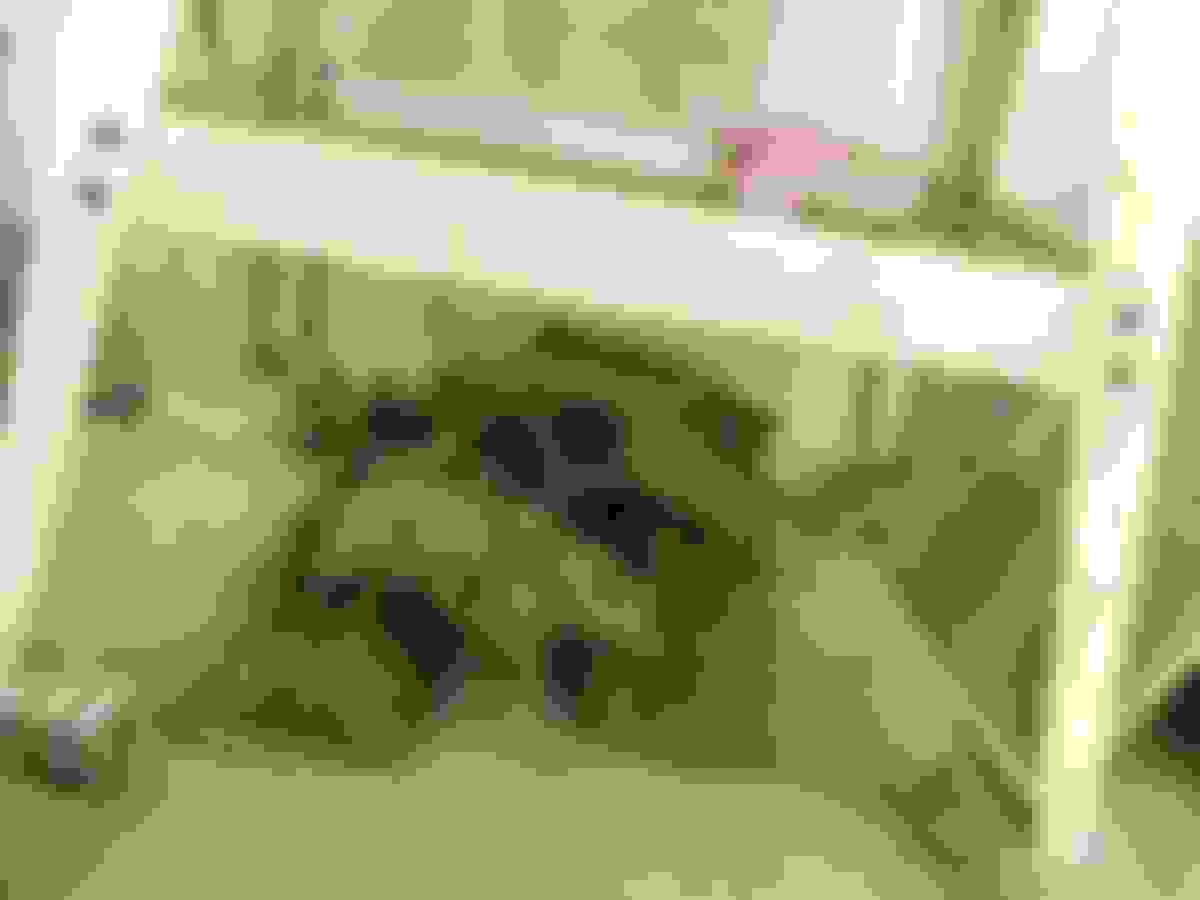 craigslist ad chesapeake va 1955 Ford Truck Enthusiasts Forums