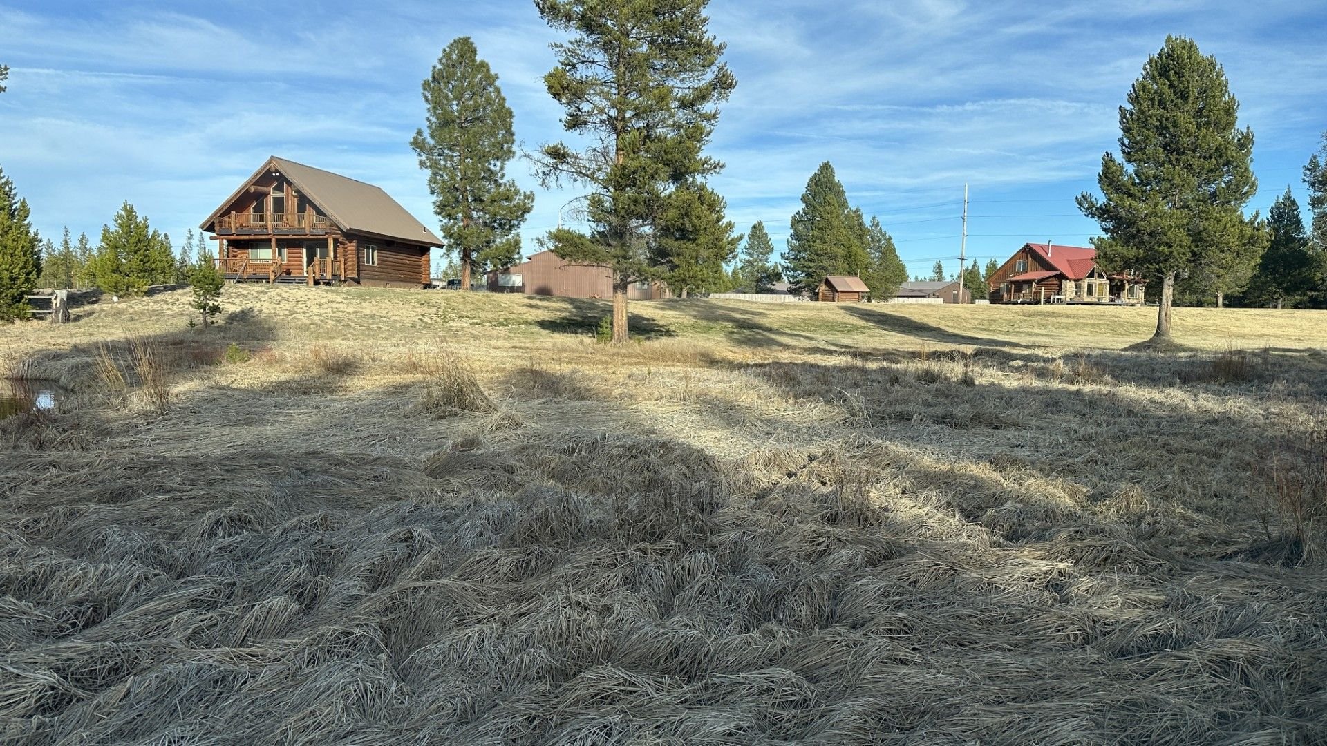 Cut a few hiking / fishing trails through to the river. Salt lick is under the tree picture right.  Recreation/Storage house is picture left.
