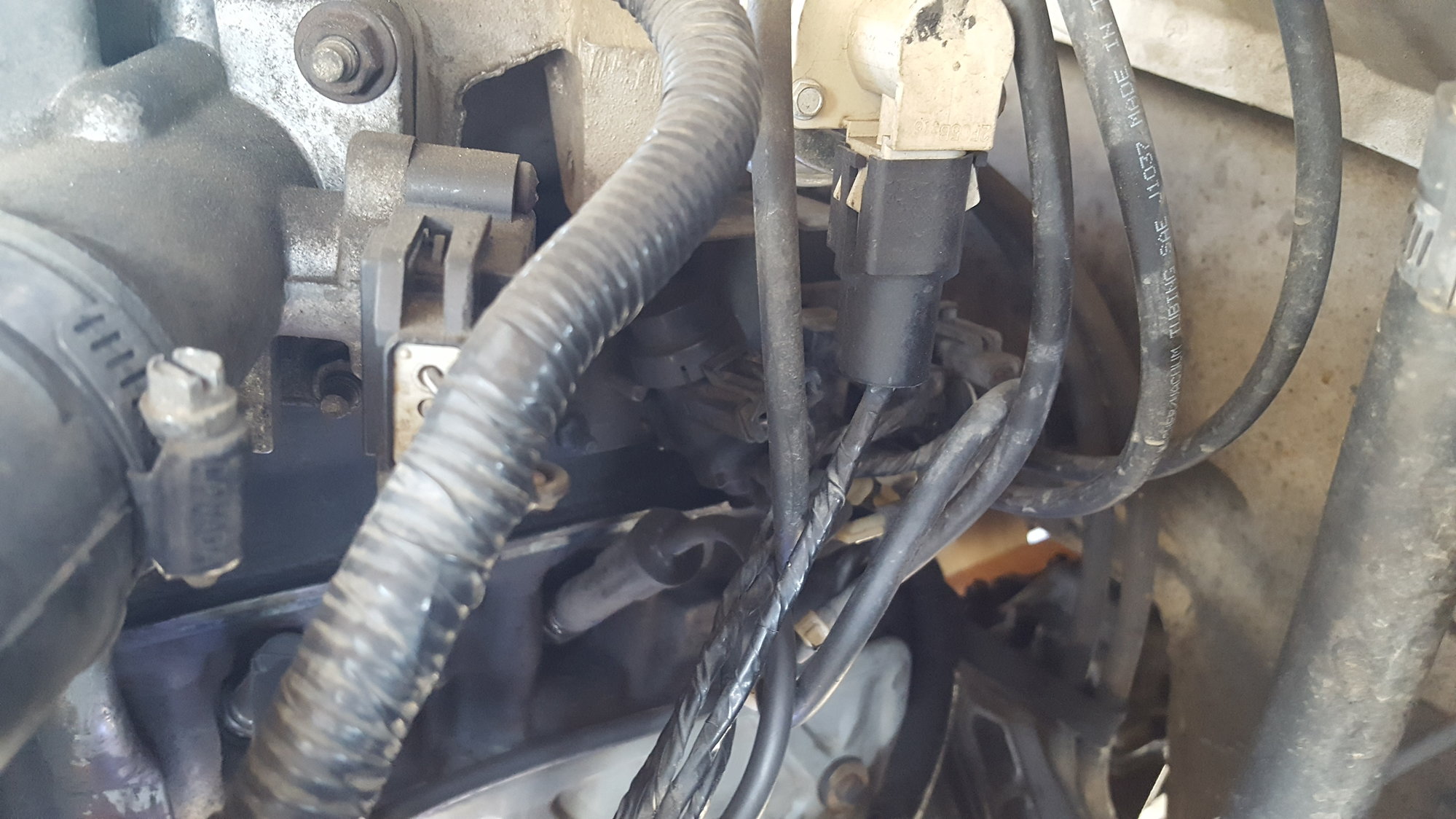 Vacuum lines 1995 F150 4.9L - Ford Truck Enthusiasts Forums
