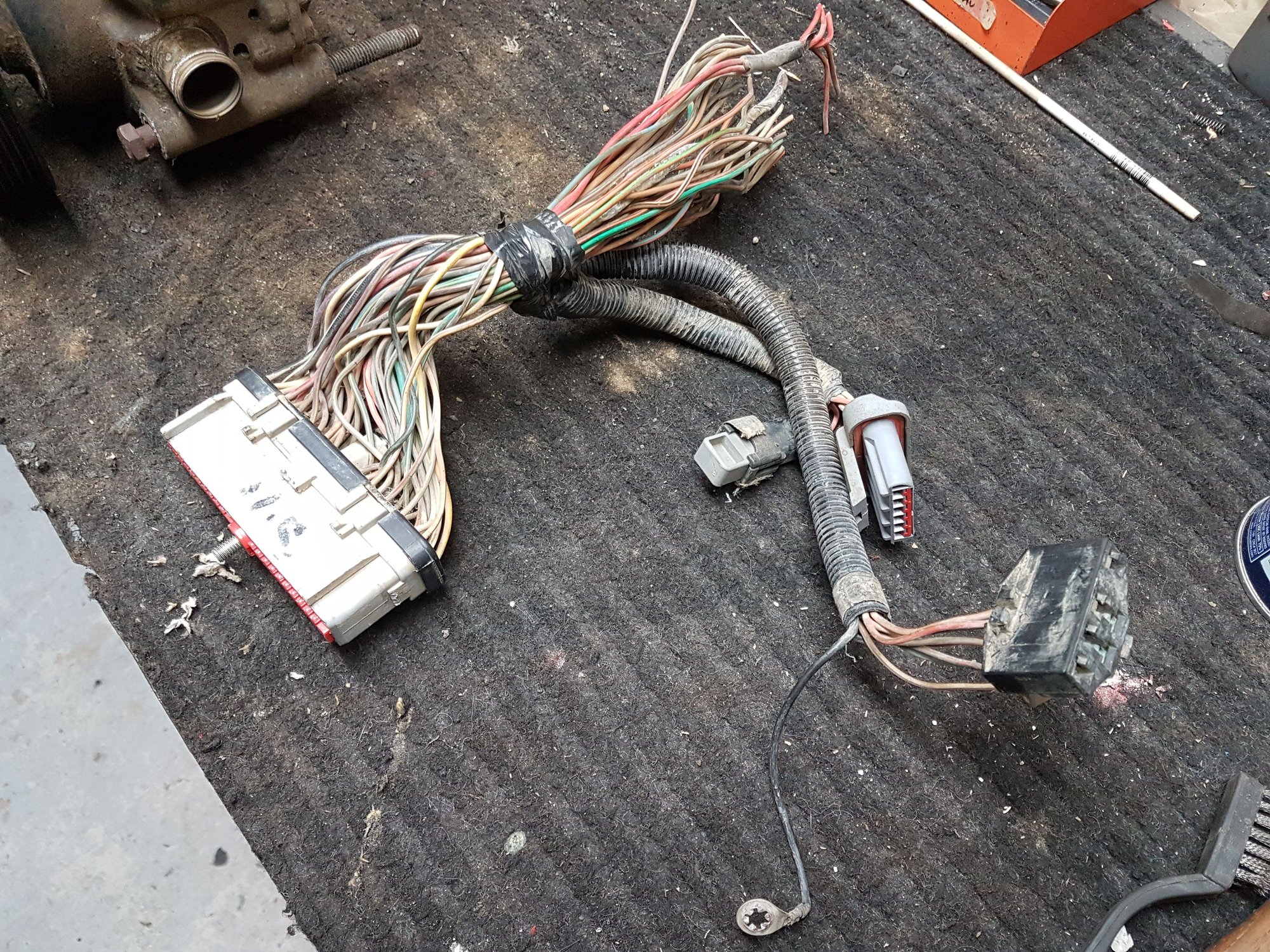 1994 Ford F-150 - PCM connector harness complete - Engine - Complete - $40 - Cold Lake, AB T9M 2C, Canada