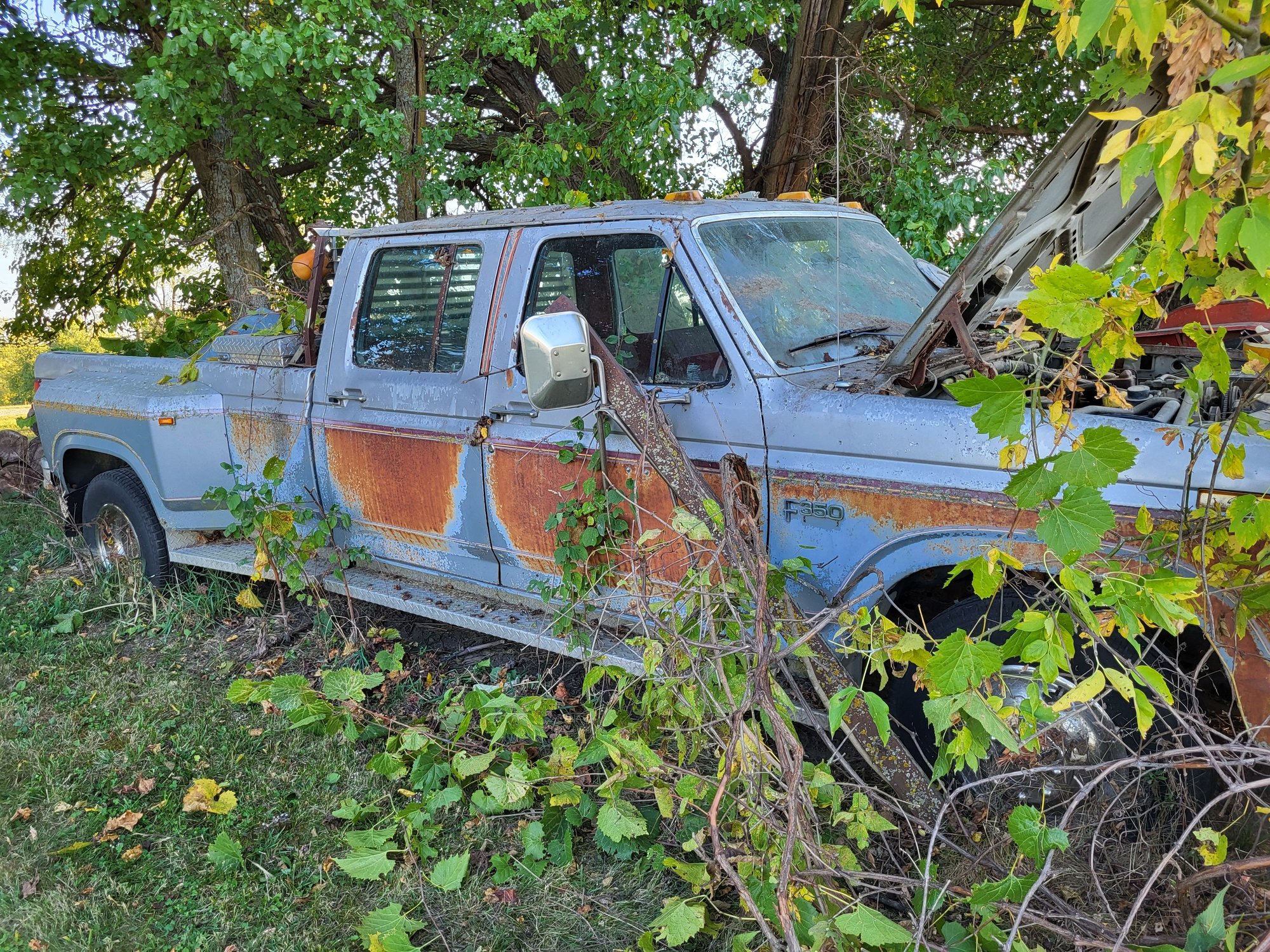 New to me '86 F350 CC Dually - Ford Truck Enthusiasts Forums