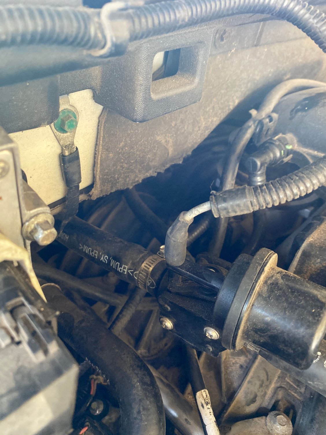 2005 expedition fuel filter location