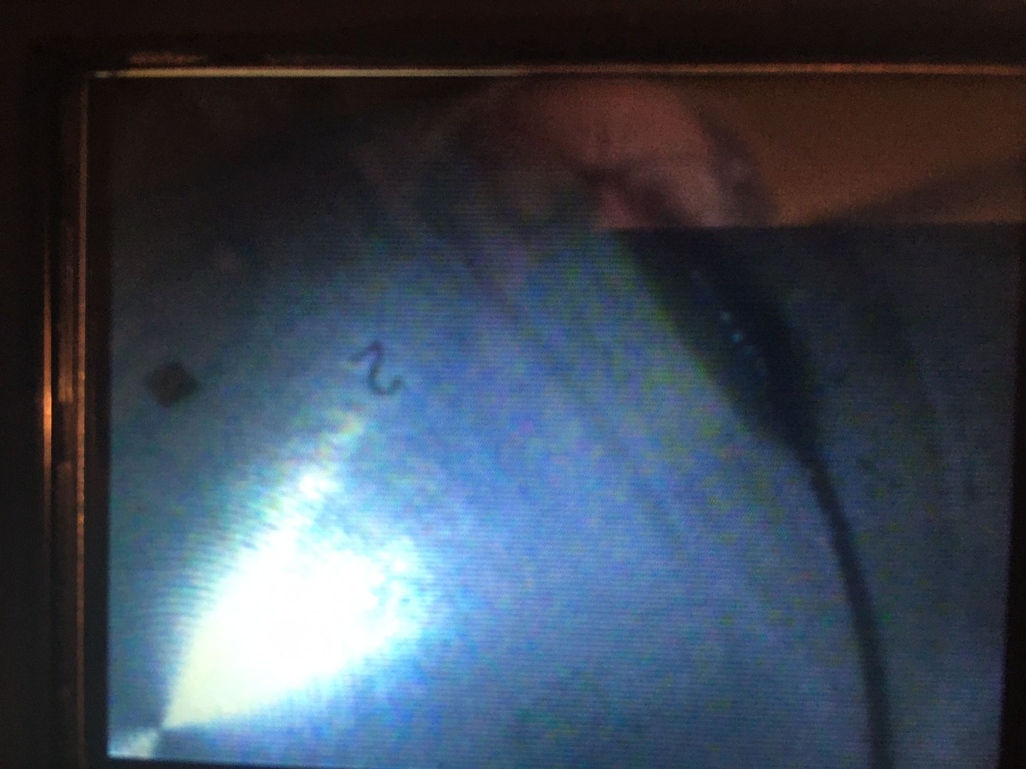 Engine - Complete - 2006 5.4L 3V engine complete oil pan to intake - New - 2005 to 2008 Ford F-150 - Muskegon, MI 49444, United States