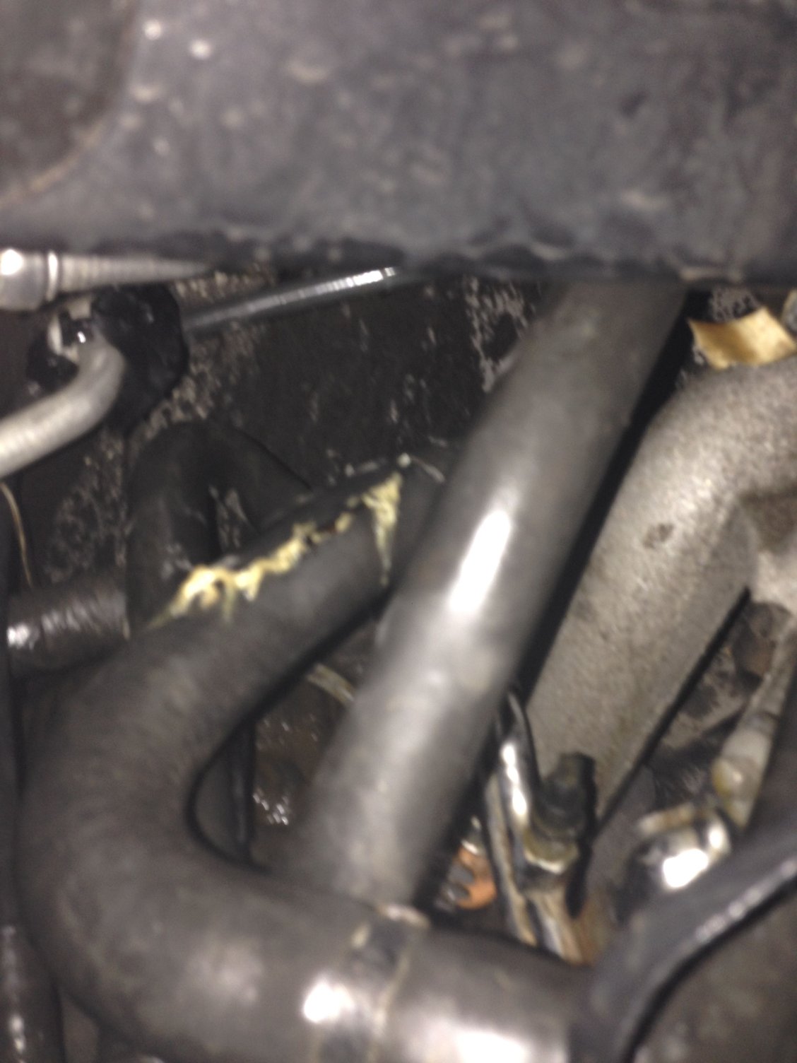 Blew some radiator hose and need identified Ford Truck Enthusiasts Forums