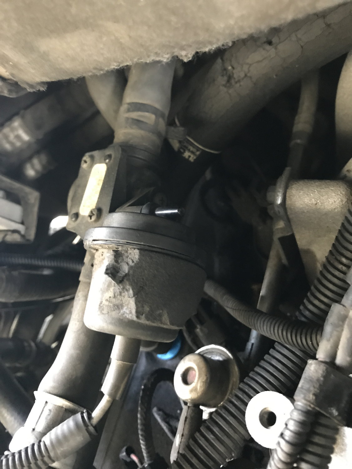 2003 Expedition Vacuum line trouble - Ford Truck Enthusiasts Forums