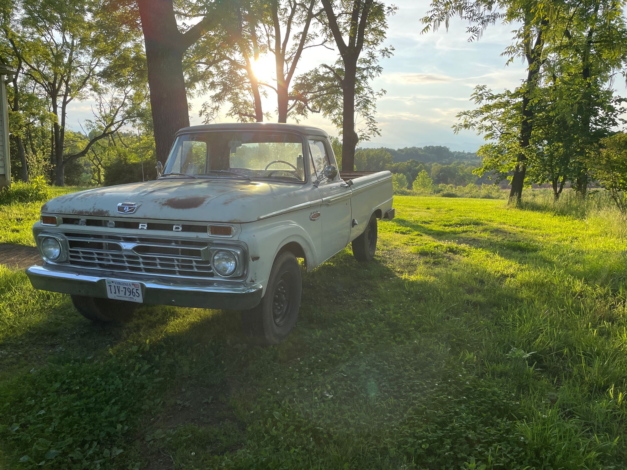 Under the walnut trees in Madison Virginia, with the Blue Ridge Mountains in the background.