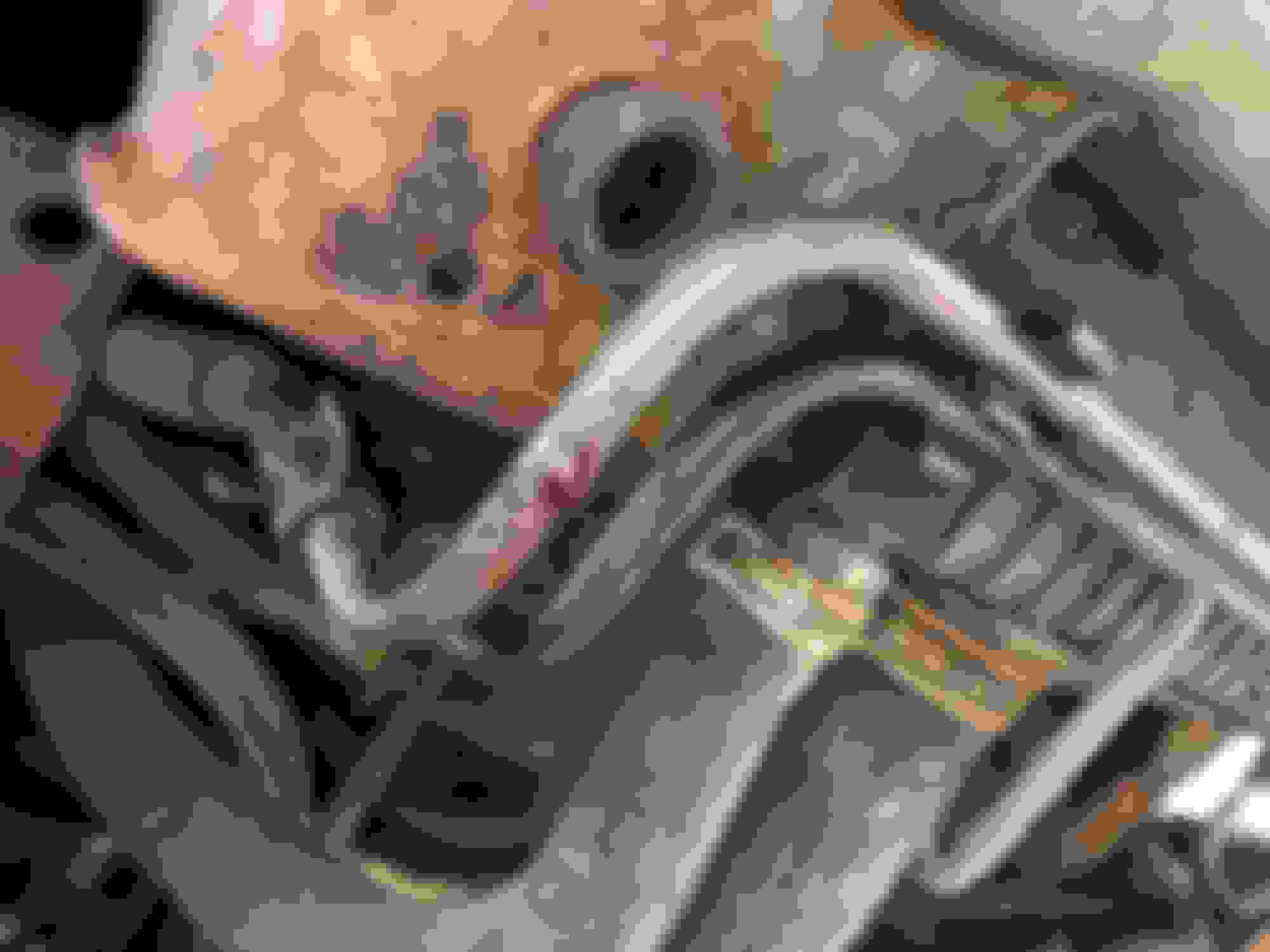 Trying to diagnose coolant leak culprit...need some help! Ford Truck