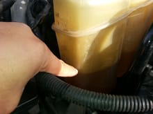 Coolant level was full Friday morning heading to work. Its sat since I got home around 1430. Coolant level is now down to where my finger points