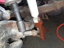 After jacking up, securing with stands, removing wheels - the shocks were removed 