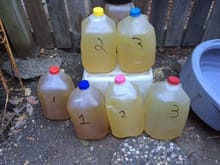 I have a lot more jugs than this.  What a collection to bring to the toxic waste disposal site.
