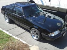 89 LX Mustang which takes up the rest of my time when I'm not screwing around with the truck