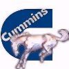 Bronco Cummins logo2