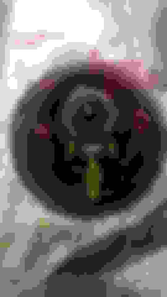 Exploded spark plug Ford Truck Enthusiasts Forums